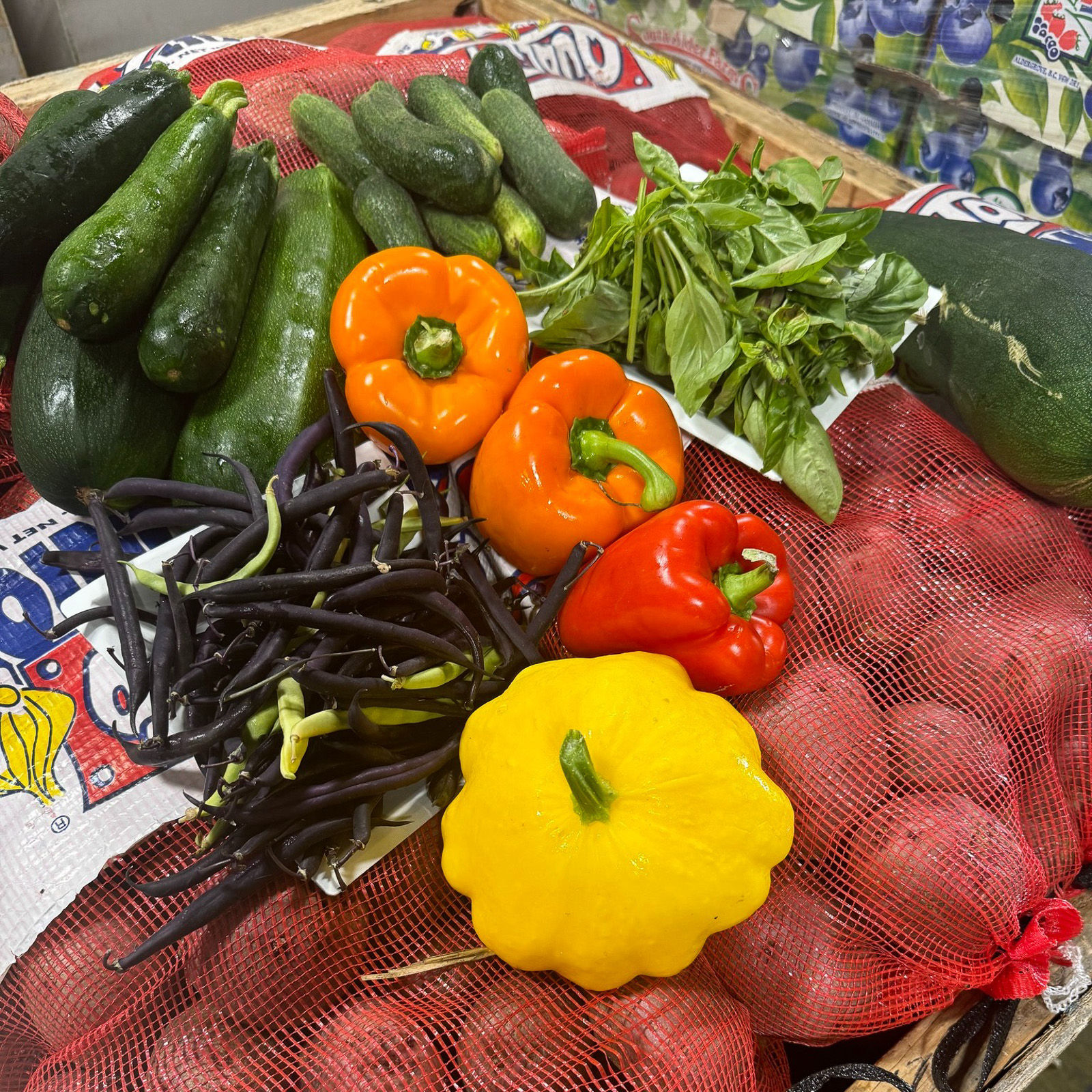 Saskatoon Food Bank & Learning Centre Project Evolve